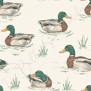 Canards #02