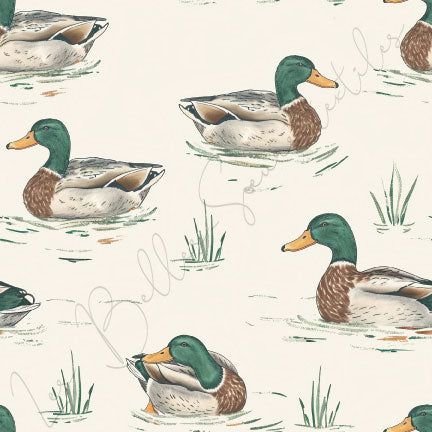 Canards #02