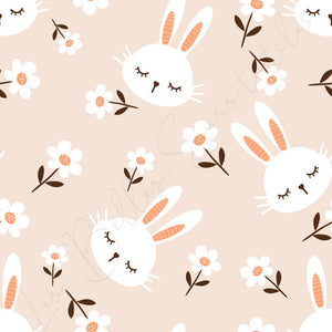 Lapins #24