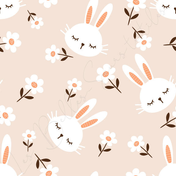 Lapins #24