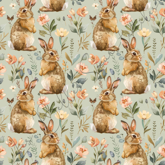 Lapins #26