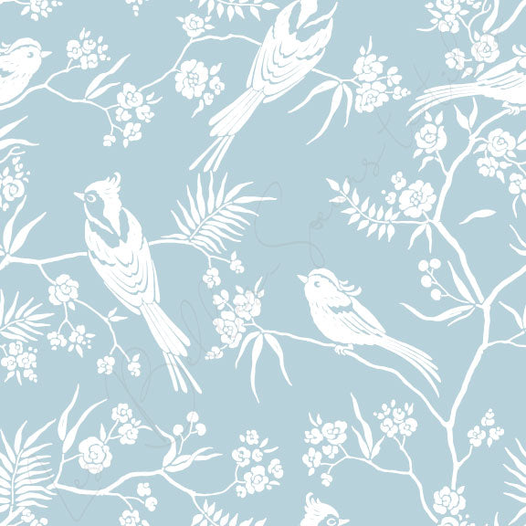 Oiseaux #50