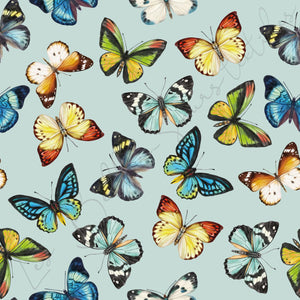 Papillons #26