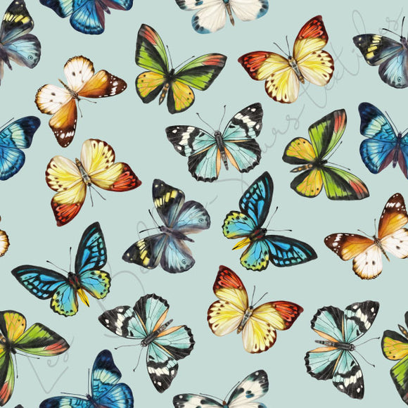 Papillons #26