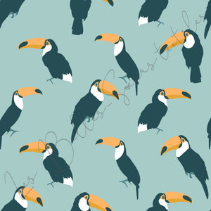 Toucans #08