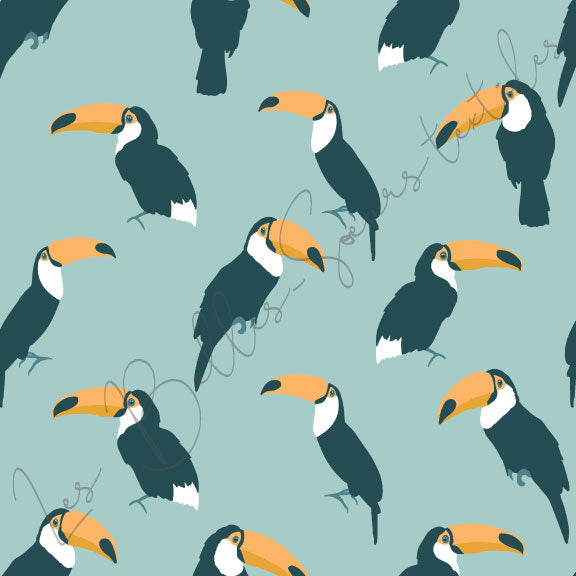 Toucans #08