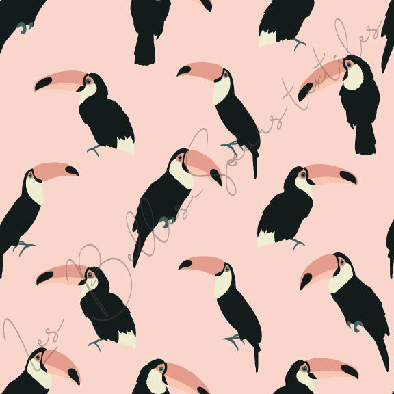 Toucans #09