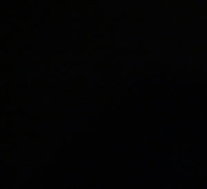 Noir - Rib